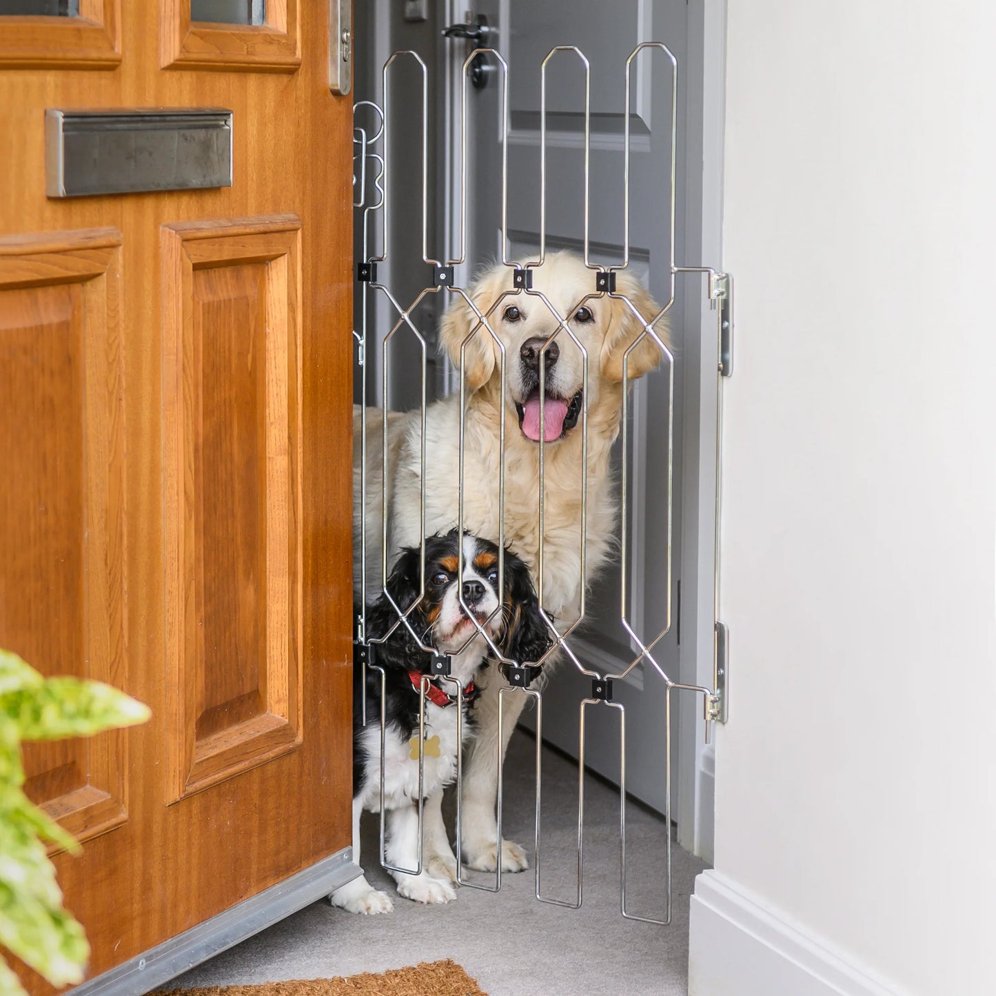 DOG-GATE Front Doors - Width (52cm - 62cm - 72cm) Height (88cm - 120cm)