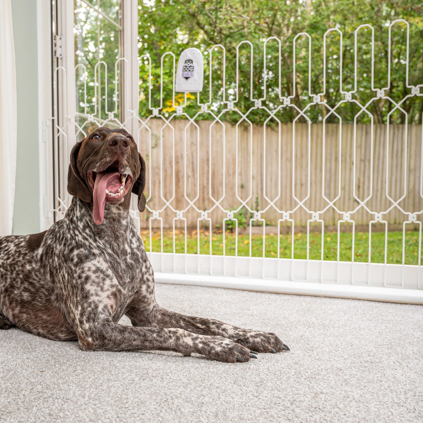 Extra-wide DOG-GATE - Width Span (103cm - 407.5cm) Height (88cm - 120cm)