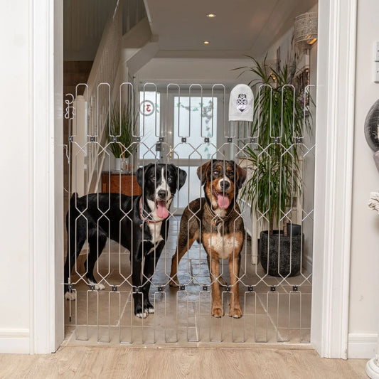 Extra-wide DOG-GATE - Width Span (103cm - 407.5cm) Height (88cm - 120cm)