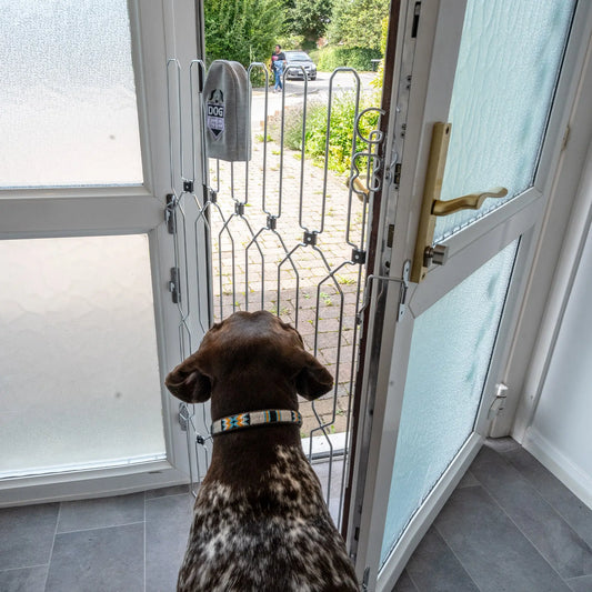DOG-GATE Front Doors - Width (52cm - 62cm - 72cm) Height (88cm - 120cm)