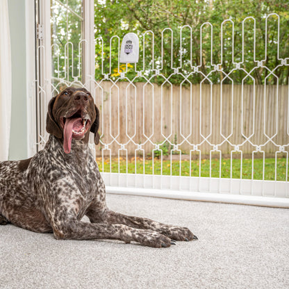 Extra-wide DOG-GATE - Width Span (103cm - 407.5cm) Height (88cm - 120cm)
